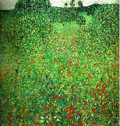 Gustav Klimt vallmofalt France oil painting artist